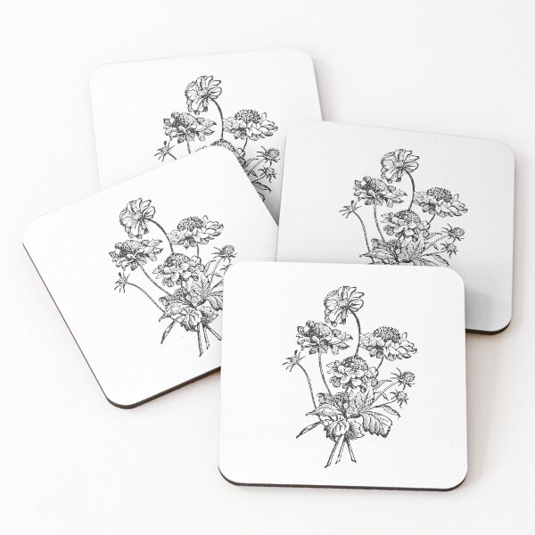 Item preview, Scabiosa flowers designed and sold by Floralsharry.