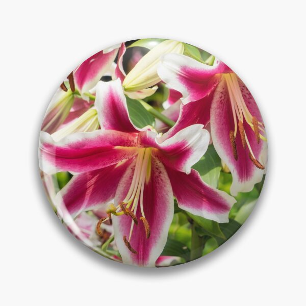 Item preview, Happy Superbloom - Riotous Fragrant Garden with Stargazer Lilies designed and sold by Georgia Mizuleva.