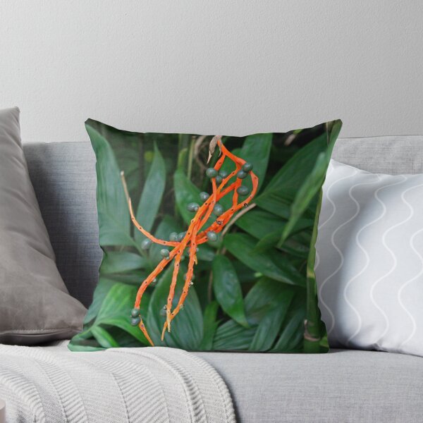 Item preview, Chamaedorea Sartorii designed and sold by Michiale.