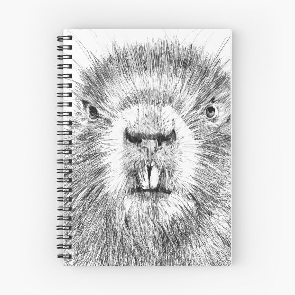 Item preview, BEAVER pencil portrait .1 designed and sold by lautir.
