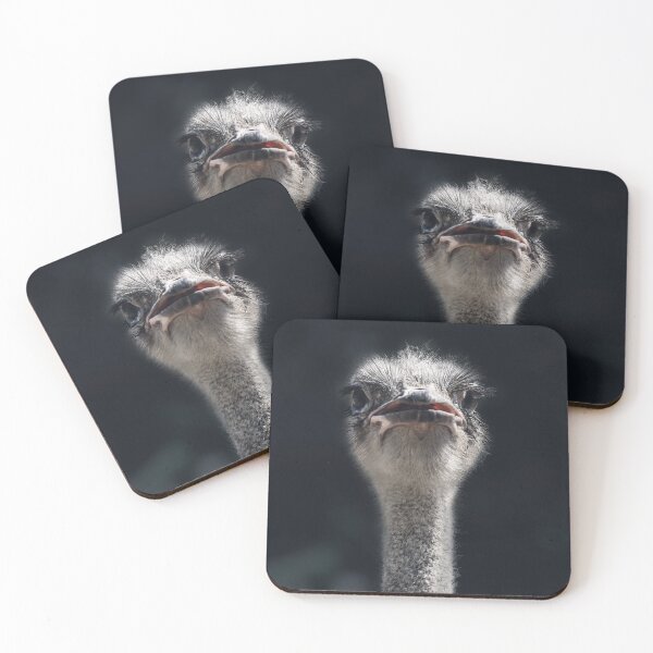 Item preview, Ostrich designed and sold by LaGalleria-BNS by Moses Benson Gallery.
