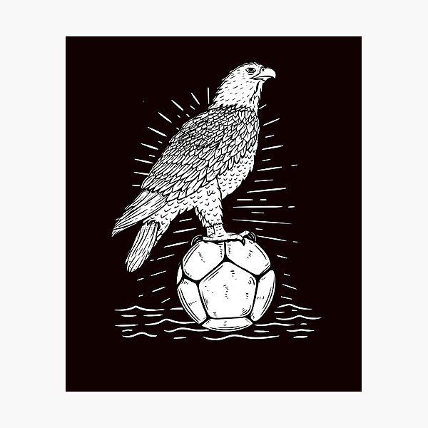 Lámina fotográfica «Águila / balón de fútbol» de Blomarostore | Redbubble