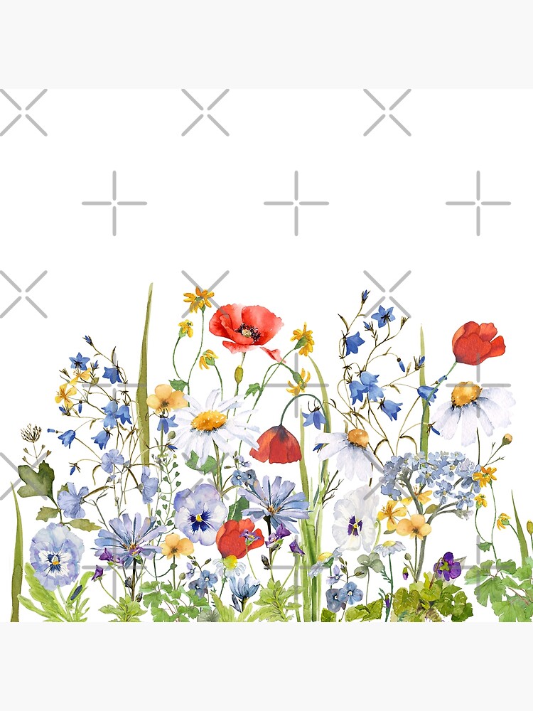 Summer Meadow Watercolor Floral Collection