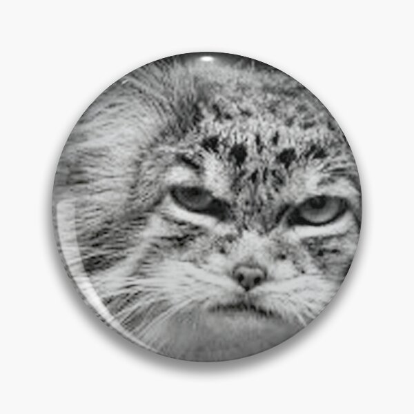Item preview, A Beautiful Pallas Cat designed and sold by Karen Thomson.