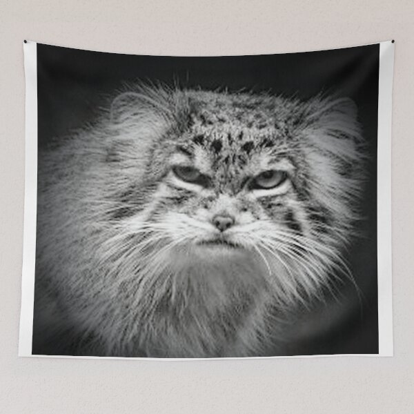 Item preview, A Beautiful Pallas Cat designed and sold by Karen Thomson.