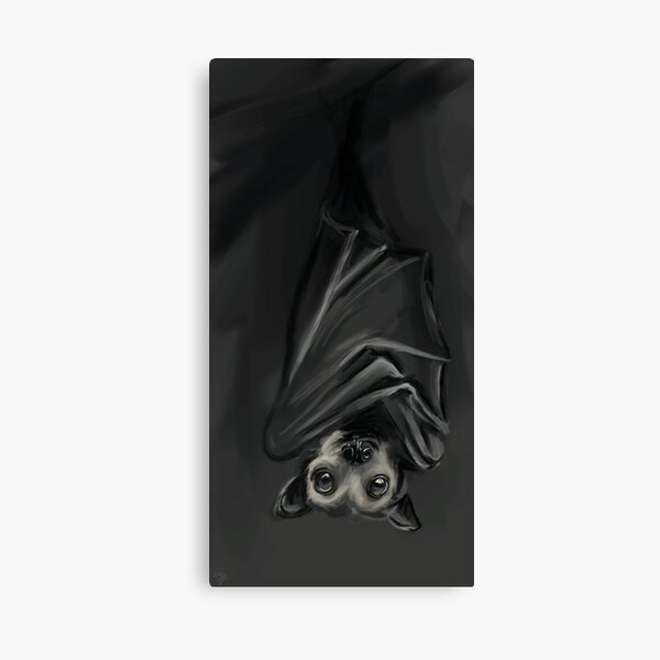BatBoy Canvas Print