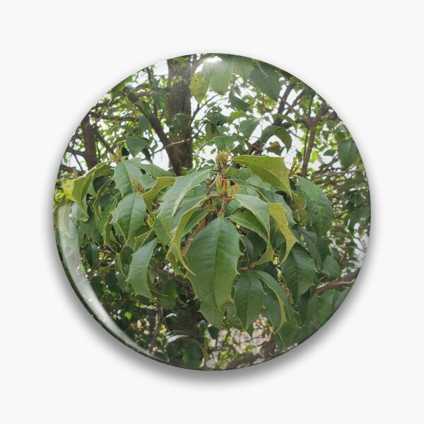 Item preview, Tree Prickle Leaves designed and sold by GrudleBay.