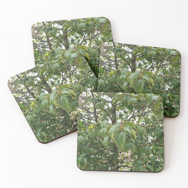 Item preview, Tree Prickle Leaves designed and sold by GrudleBay.