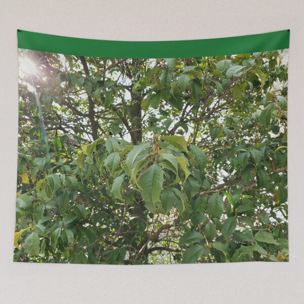 Item preview, Tree Prickle Leaves designed and sold by GrudleBay.