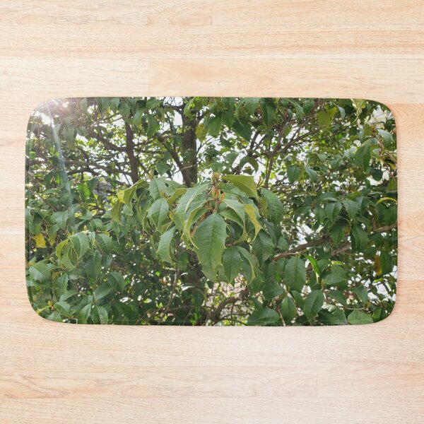 Item preview, Tree Prickle Leaves designed and sold by GrudleBay.