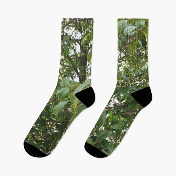 Item preview, Tree Prickle Leaves designed and sold by GrudleBay.