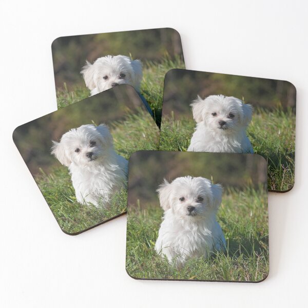 Item preview, Maltese Dog Portrait designed and sold by OByD.