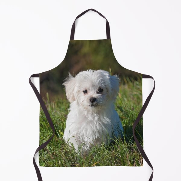 Item preview, Maltese Dog Portrait designed and sold by OByD.