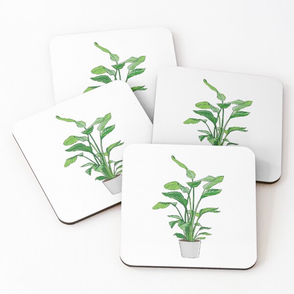 Item preview, Strelitzia nicolai plant designed and sold by lisaedlund.