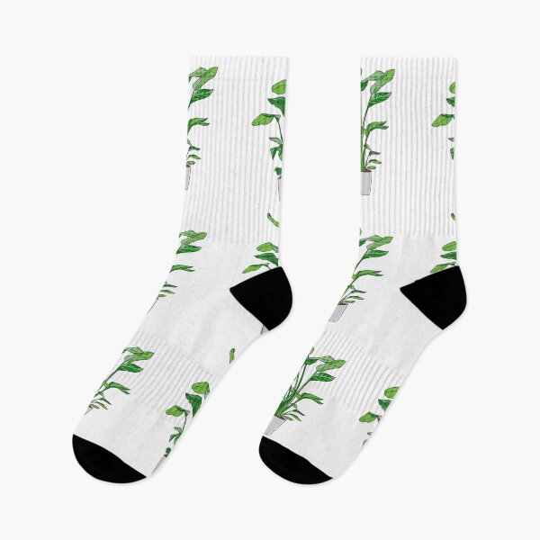 Item preview, Strelitzia nicolai plant designed and sold by lisaedlund.
