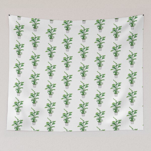 Item preview, Strelitzia nicolai plant designed and sold by lisaedlund.