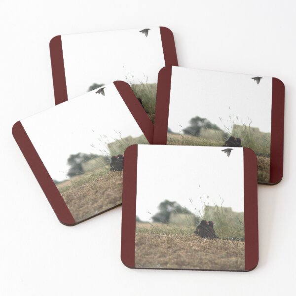 Item preview, Turkey Vultures designed and sold by JMcCombie.