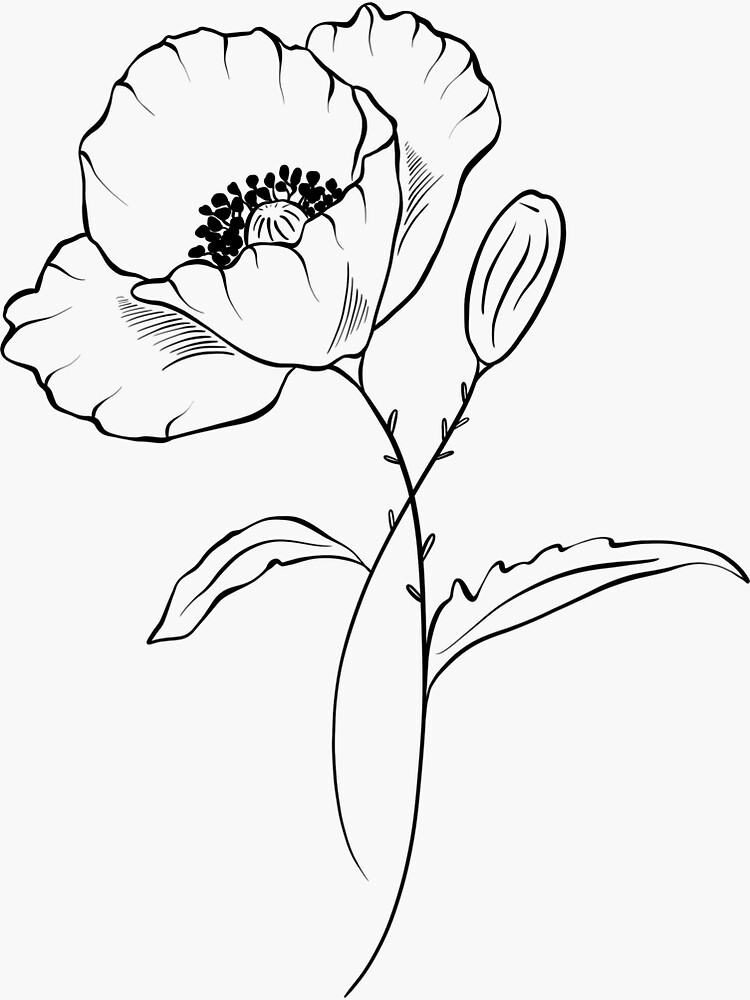 "August Birth Flower Poppy" Sticker for Sale by mbogarin-0412 | Redbubble