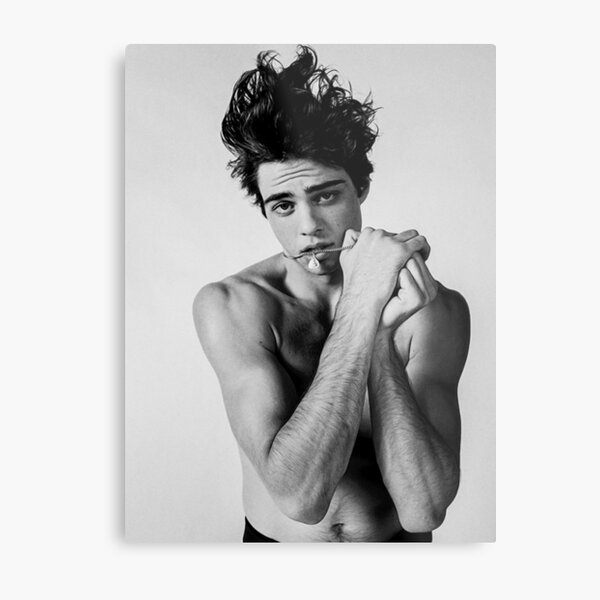 noah centineo Lámina metálica