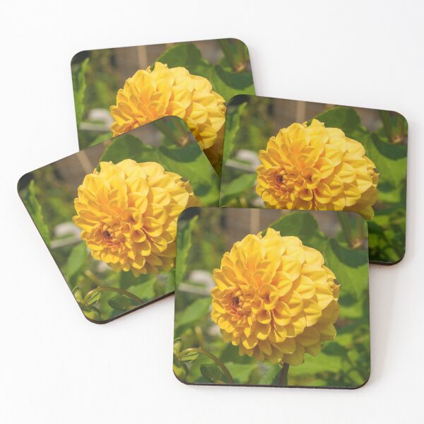 Item preview, Amarillo Pom Pom Dahlia designed and sold by jojobob.