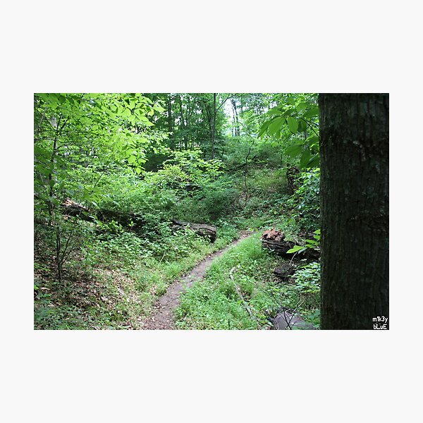 Item preview, A Hiking Trail designed and sold by m1k3ybLuE.