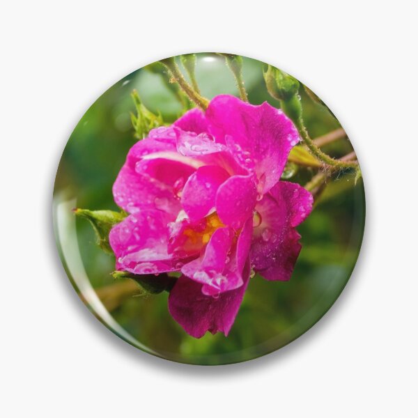 Item preview, Pink Rose designed and sold by jojobob.