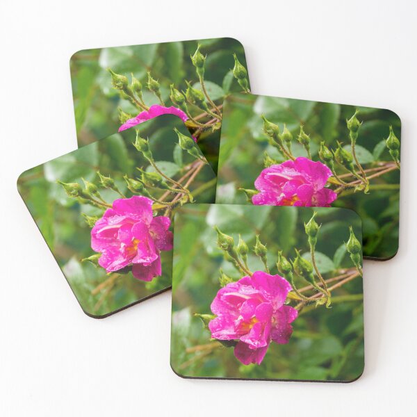 Item preview, Pink Rose designed and sold by jojobob.