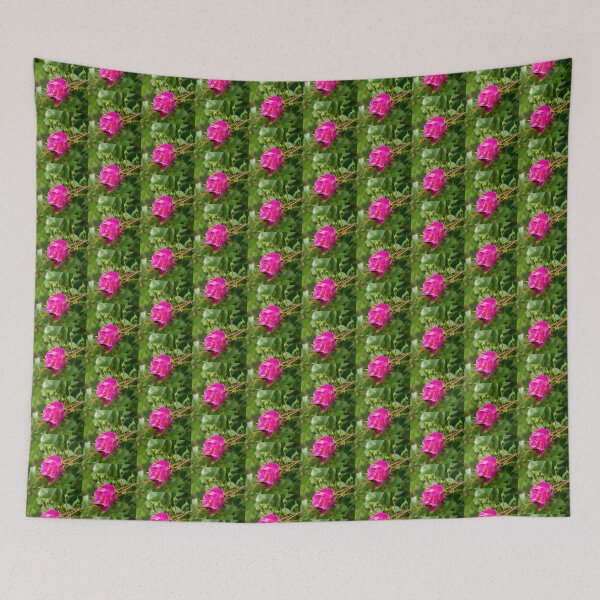 Item preview, Pink Rose designed and sold by jojobob.