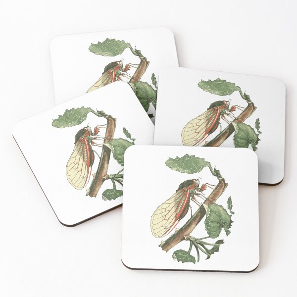 Item preview, Cicada Illustration designed and sold by taiche.