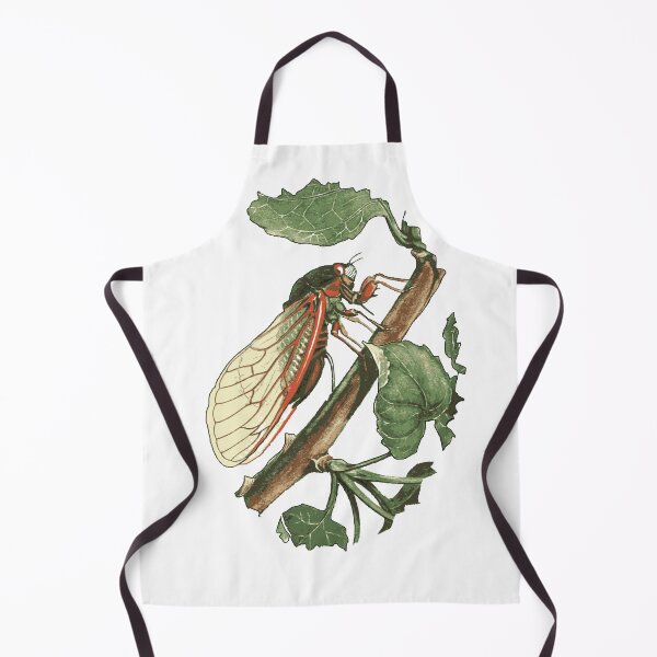 Item preview, Cicada Illustration designed and sold by taiche.