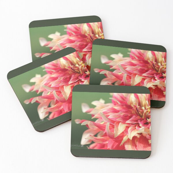 Item preview, Dahlia named Bodacious designed and sold by JMcCombie.