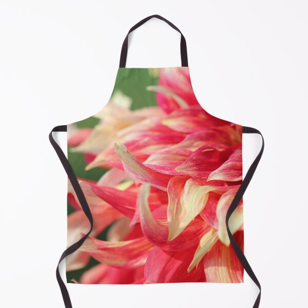 Item preview, Dahlia named Bodacious designed and sold by JMcCombie.