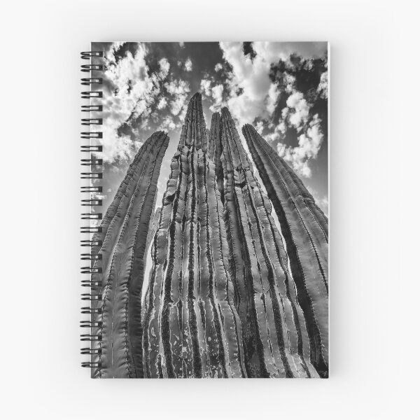 Item preview, Taller Than You designed and sold by Elisabeth Lucas.