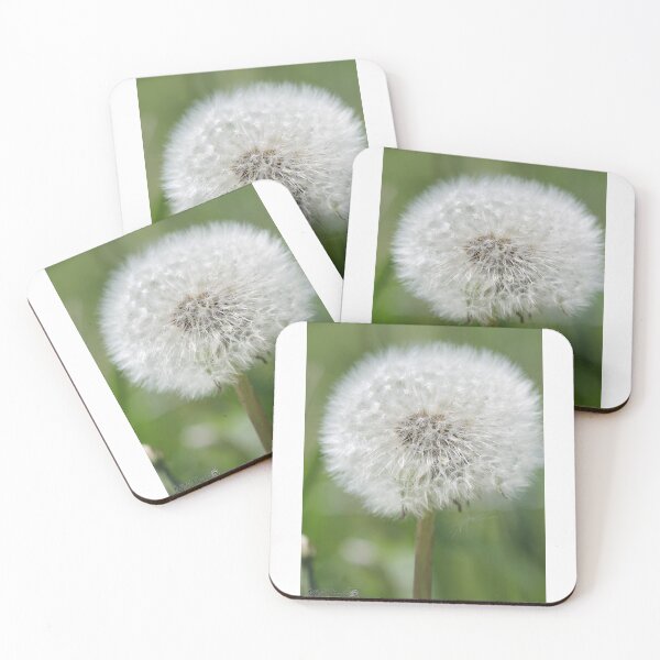 Item preview, Dandelion designed and sold by JMcCombie.