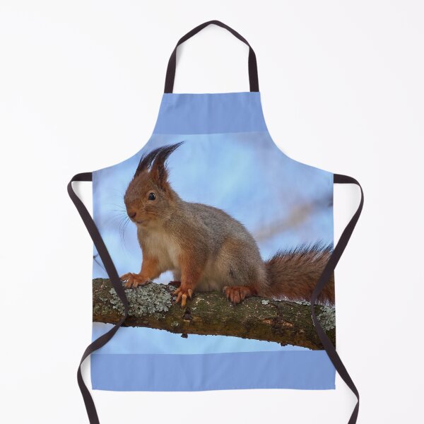 Item preview, Eurasian red squirrel panoramic designed and sold by Jouko Lehto Photography.