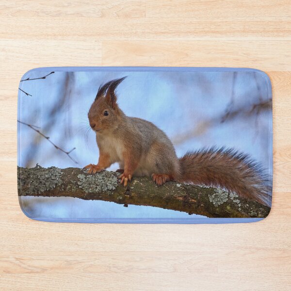 Item preview, Eurasian red squirrel panoramic designed and sold by Jouko Lehto Photography.