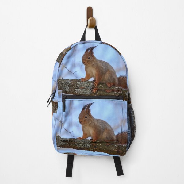Item preview, Eurasian red squirrel panoramic designed and sold by Jouko Lehto Photography.