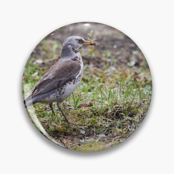 Item preview, Time to build. Fieldfare designed and sold by Jouko Lehto Photography.