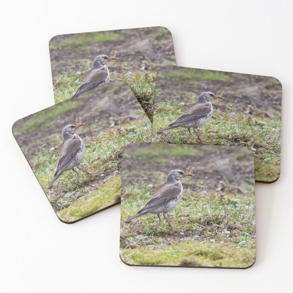 Item preview, Time to build. Fieldfare designed and sold by Jouko Lehto Photography.