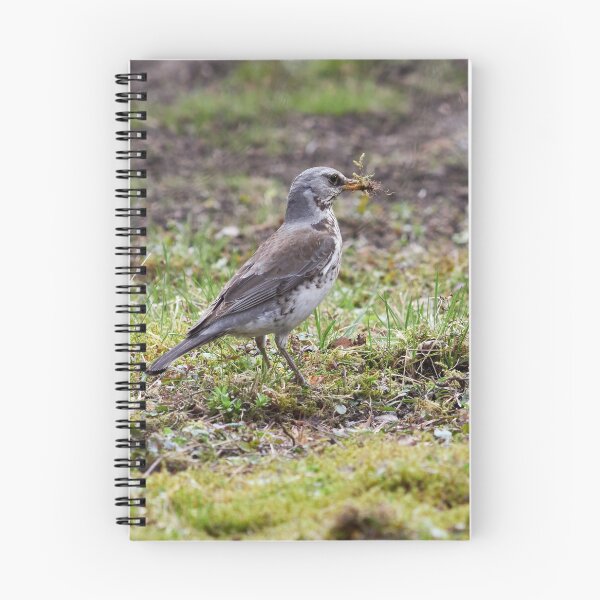 Item preview, Time to build. Fieldfare designed and sold by Jouko Lehto Photography.