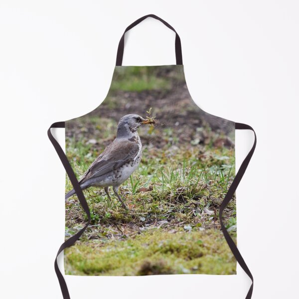 Item preview, Time to build. Fieldfare designed and sold by Jouko Lehto Photography.