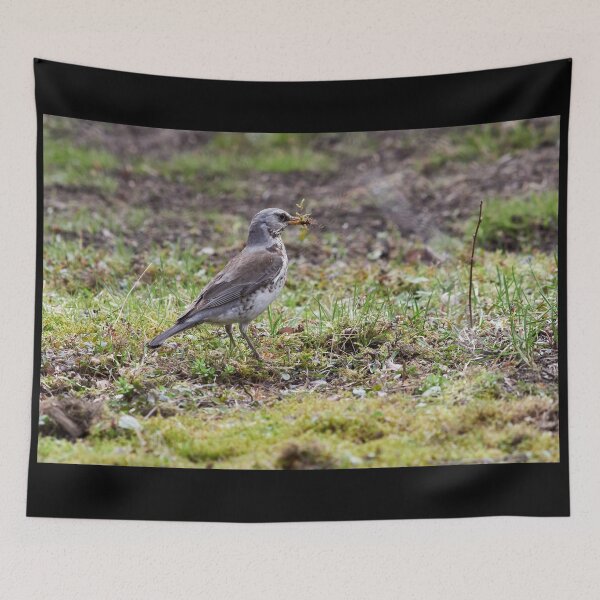 Item preview, Time to build. Fieldfare designed and sold by Jouko Lehto Photography.