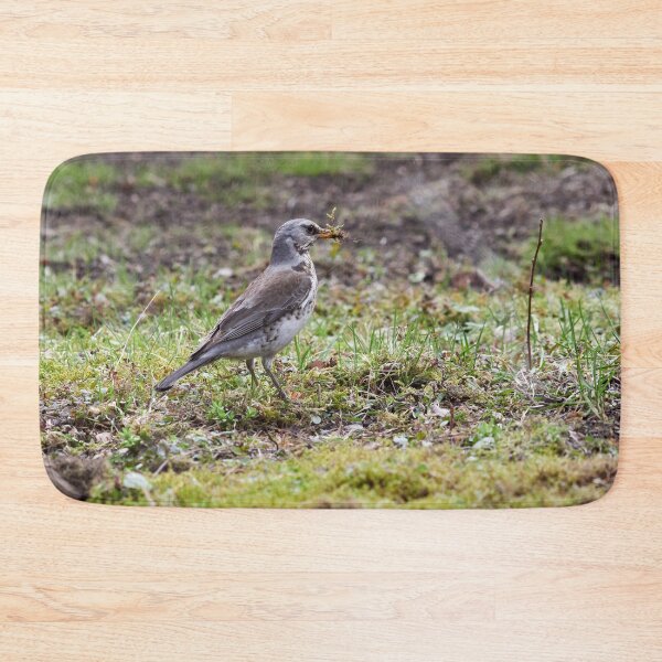Item preview, Time to build. Fieldfare designed and sold by Jouko Lehto Photography.