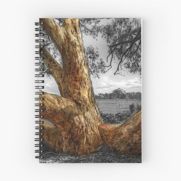 Item preview, Ovens River redgum designed and sold by Kevin McGennan.