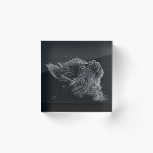 "Curiosity" by Sab Arts Acrylic Block