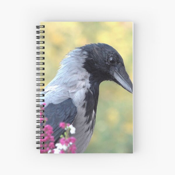 Item preview, Hooded crow designed and sold by Babbler01.