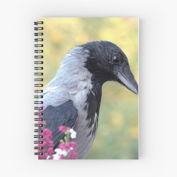 Item preview, Hooded crow designed and sold by Babbler01.