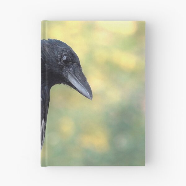 Item preview, Hooded crow designed and sold by Babbler01.
