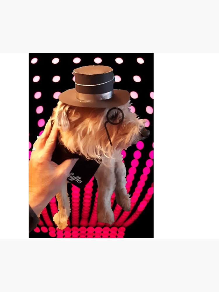 "raffles the gentleman dog in top hat and monocle" Poster for Sale by toastygoat Redbubble