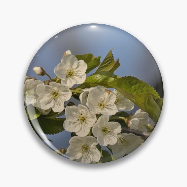 Item preview, Wild cherry blossoms in spring designed and sold by xophotography.